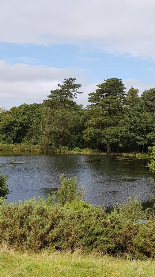 89 Lower Lakeside - Glan Gwna Holiday Park Caernarfon Kültér fotó